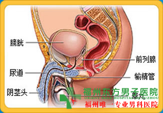 男性患上前列腺炎有哪些症状