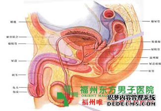 男性诱发尿道炎的症状是什么?