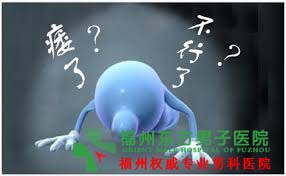 阳痿怎么食补