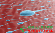 死精症的检查