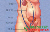 什么是前列腺炎