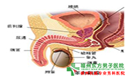 睾丸炎危害有哪些 睾丸炎危害有哪些