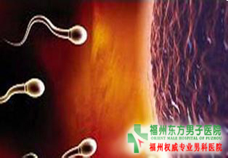 勃起不持久治疗费用是多少